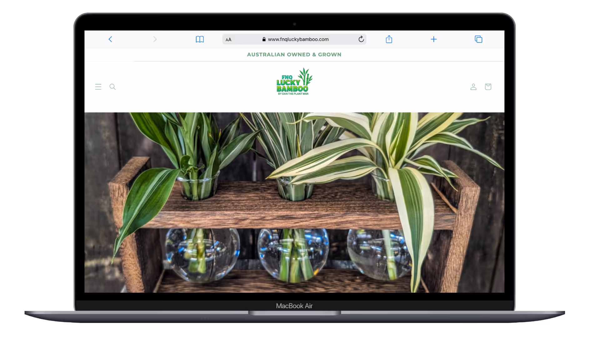 Lucky Bamboo desktop website
